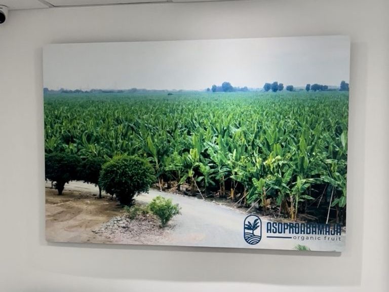 Mural impreso en UV de gran formato